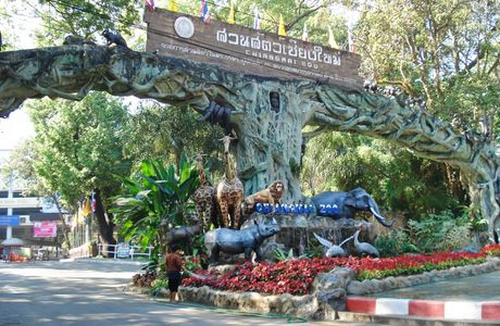Chiang Mai Zoo