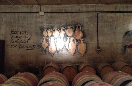 Cellers Avgvstvs Forvm