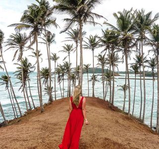 Coconut Tree Hill