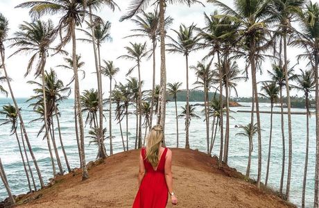 Coconut Tree Hill