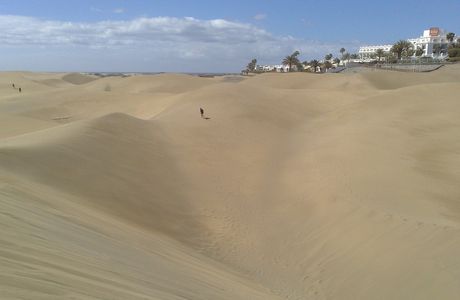 Cyclo Canaria