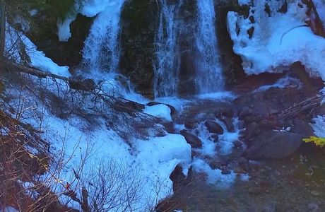 Barbara Falls