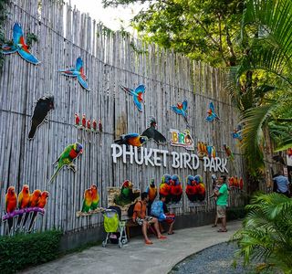 Phuket Bird Park