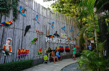 Phuket Bird Park