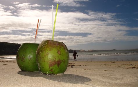 Coconut Beach 2