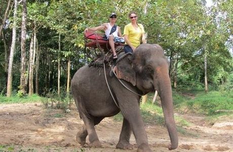 Saiyok Elephant Park