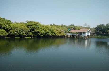 Sai Ngam