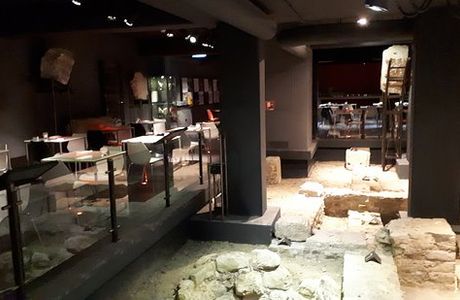 Derlon Museum Cellar
