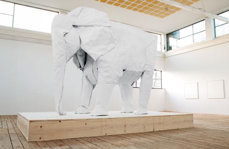 Amazing Elephant Dung Paper