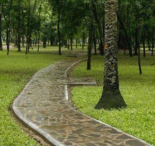 Botanical Gardens (Vuon Bach Thao)