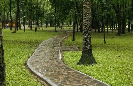 Botanical Gardens (Vuon Bach Thao)