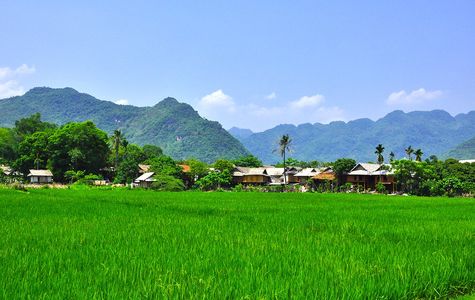 Lac Village 1