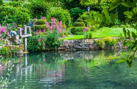 Mill Dene Garden