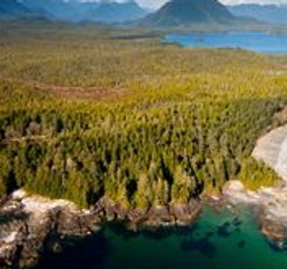 Great Bear Rainforest