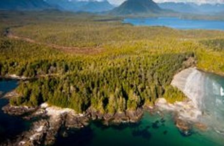 Great Bear Rainforest
