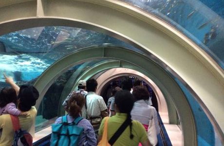 Aomori Asamushi Aquarium