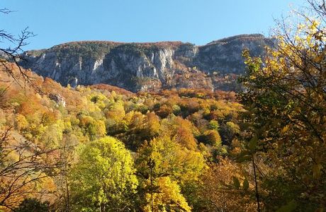 Cerna Valley
