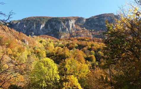 Cerna Valley 1