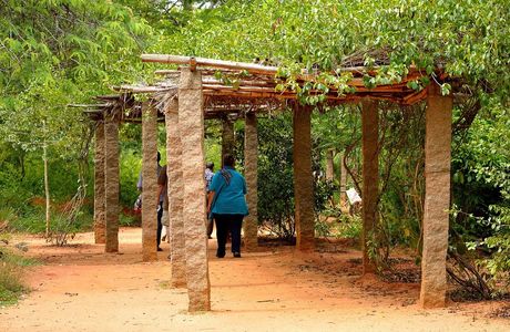 Auroville Botanical Gardens