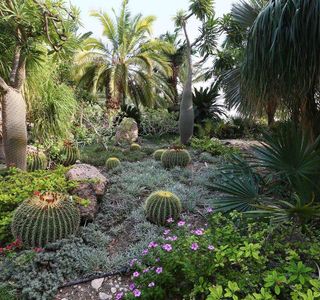 Ein Gedi Botanical Garden