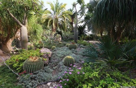 Ein Gedi Botanical Garden