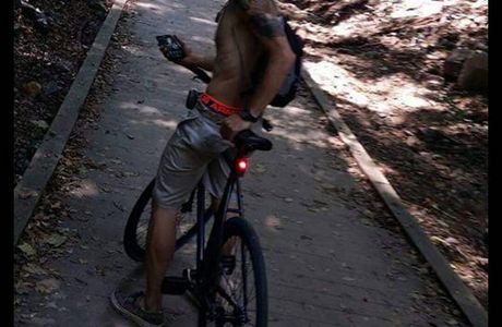 Trolley Trail 9
