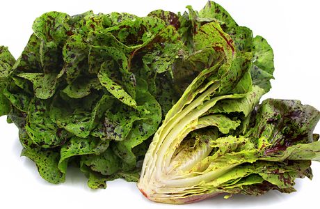 Citerne Romaine