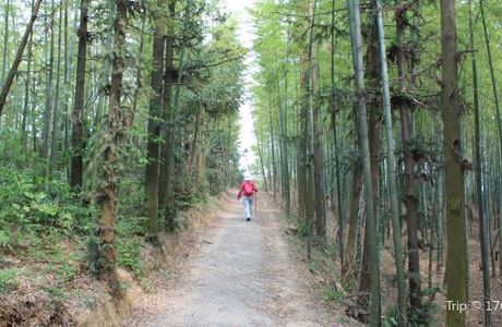 Cixi Kaolao Mountain
