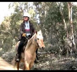 Yarramba Trail Rides