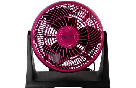 Berry's Fan