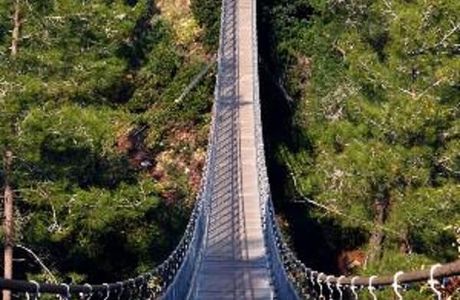 Hanging Bridge at Nesher Park