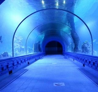 Hurghada Grand Aquarium