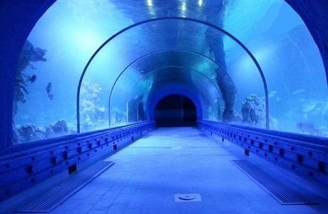 Hurghada Grand Aquarium
