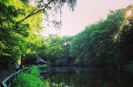 Jordbodalen