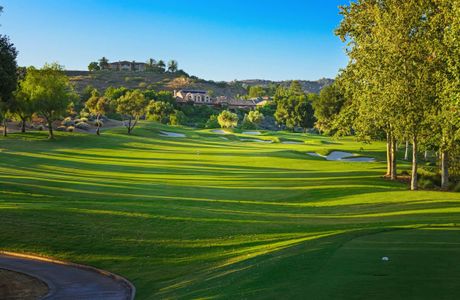 Dragonfly Golf Club