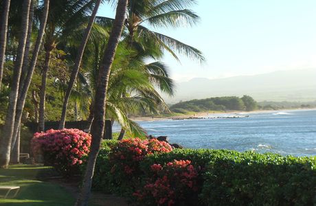 Maalaea