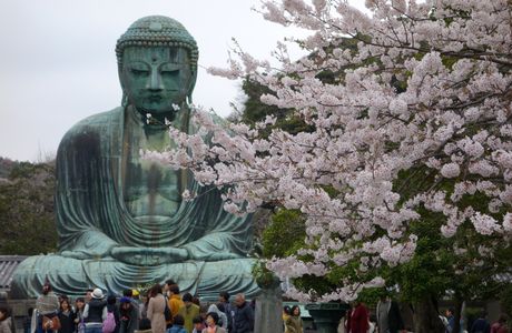 Gennyoshonin Statue
