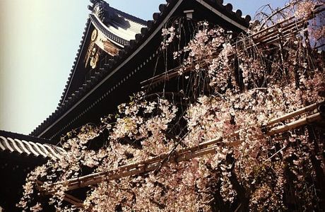 Bukko-Ji Temple