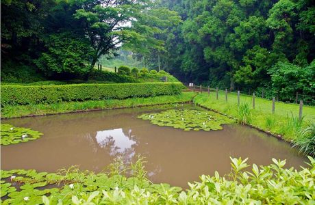 Yamanaka Castle Ruins