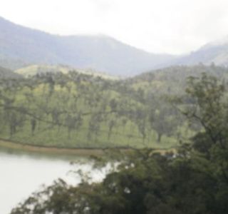 Mayura Ayurvedic Centre Munnar