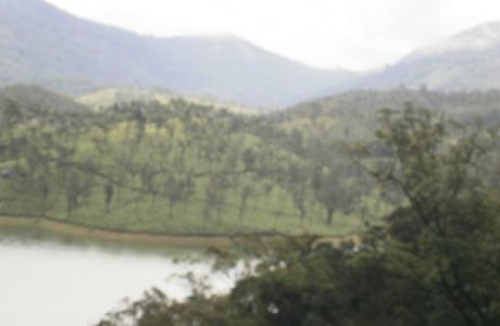 Mayura Ayurvedic Centre Munnar