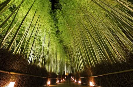 Arashiyama Observation Deck