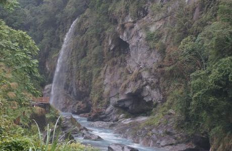 Fuyuan Forest