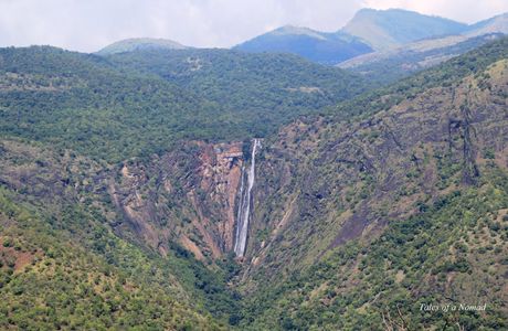 RatTail Falls