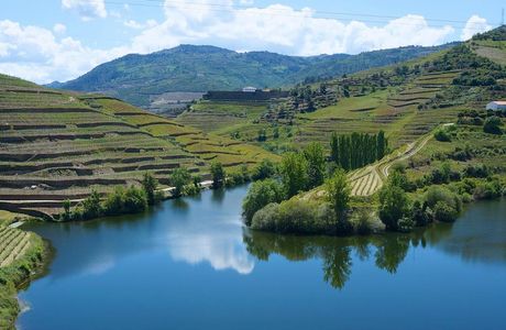 Bonji River Valley