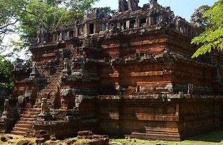 Graines De Cambodge