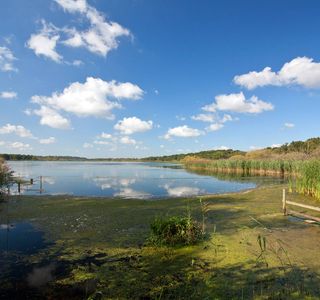 Aqualate Mere