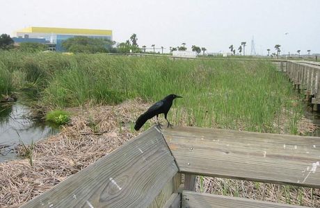 Laguna Madre Nature Trail