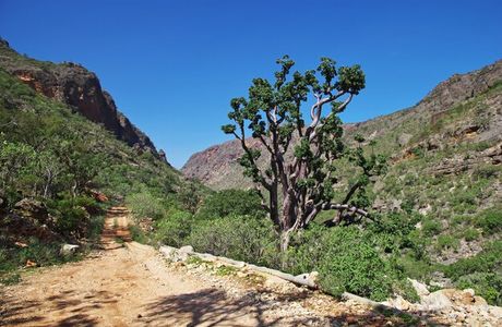 Ayhaft Canyon National Park