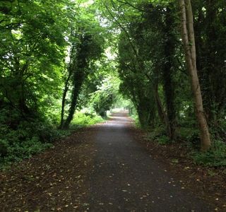 Alban Way